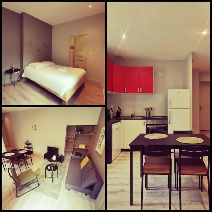 Vienne: appartement au cœur du centre historique Vienne  0*, Vienne (Isere) France