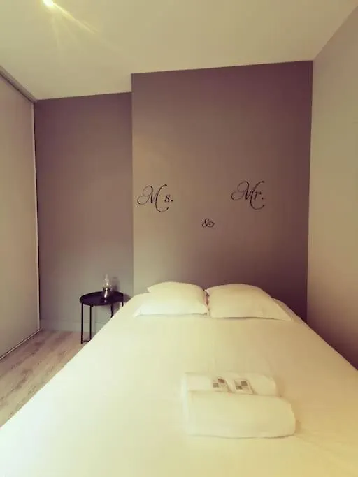 Vienne: appartement au cœur du centre historique Vienne  France